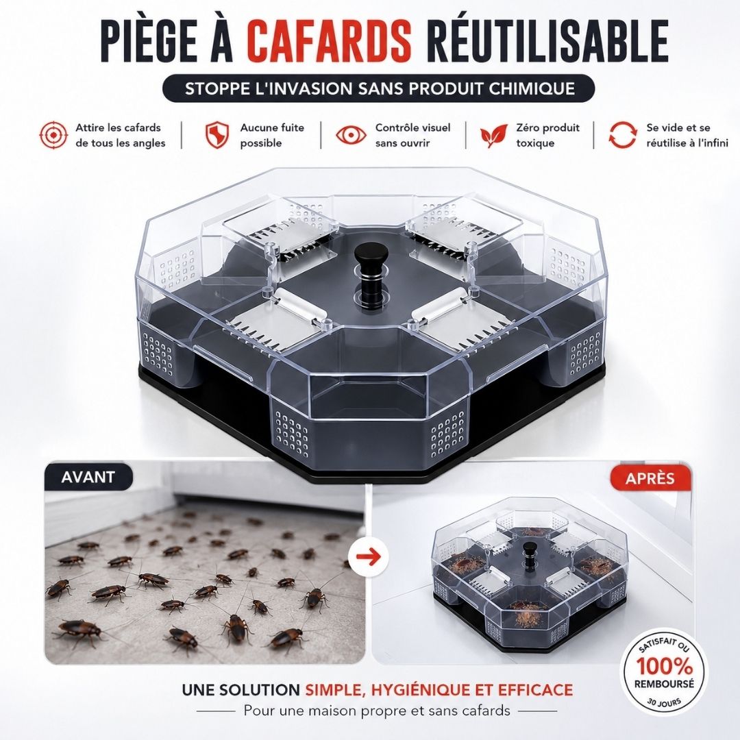 Piège à cafards réutilisable – Stoppe l'invasion sans produit chimique