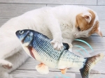 Dancing fish